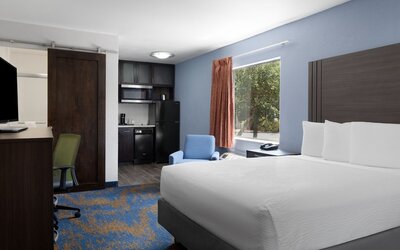 Hotel South Tampa & Suites