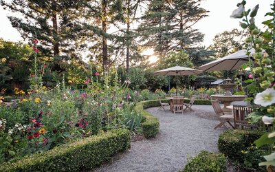 Appellation Lodi - Wine & Roses Resort & Spa