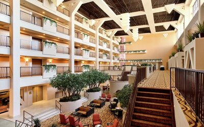 Hilton Stockton