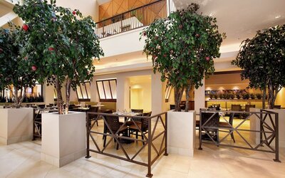 Hilton Stockton