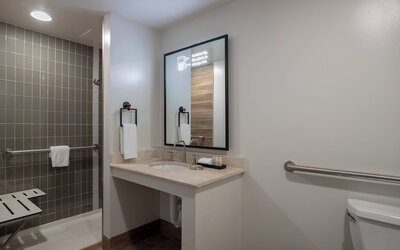Renaissance Toledo Downtown Hotel