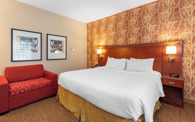 Courtyard by Marriott Toledo Airport Holland