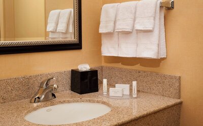 Courtyard by Marriott Toledo Airport Holland