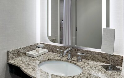 Delta Hotels by Marriott Toledo
