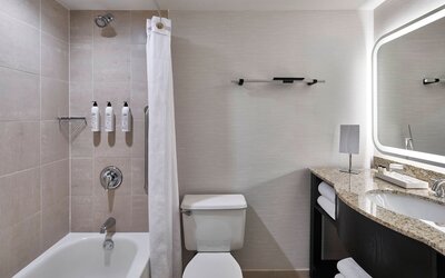 Delta Hotels by Marriott Toledo