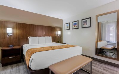 Comfort Suites Tucson near Sabino Canyon