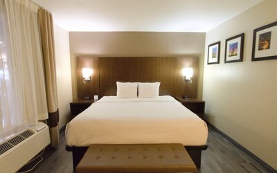 Comfort Suites Tucson near Sabino Canyon