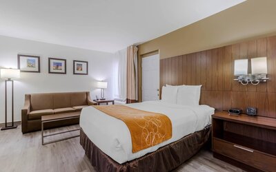 Comfort Suites Tucson near Sabino Canyon