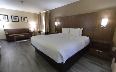 Comfort Suites Tucson near Sabino Canyon