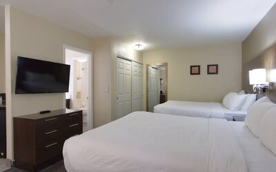 Comfort Suites Tucson near Sabino Canyon