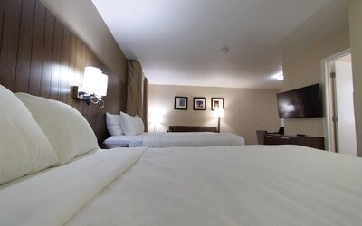 Comfort Suites Tucson near Sabino Canyon