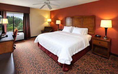 Hampton Inn & Suites Tucson-Mall