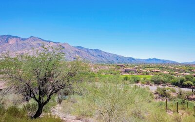 The Westin La Paloma Resort and Spa