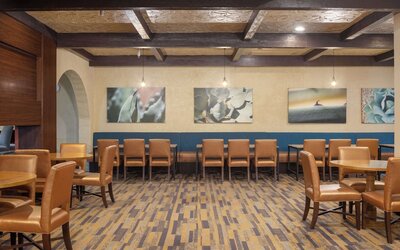 DoubleTree Suites by Hilton Tucson - Williams Center