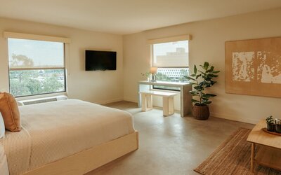 Brut Hotel