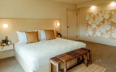 Brut Hotel