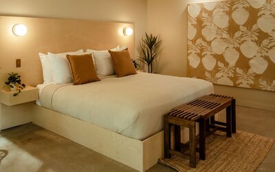 Brut Hotel