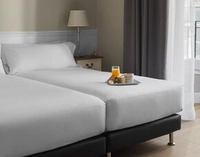 Hotel Mesón Castilla Atiram