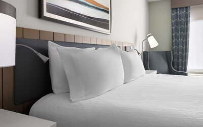 Hilton Garden Inn Winston-Salem/Hanes Mall