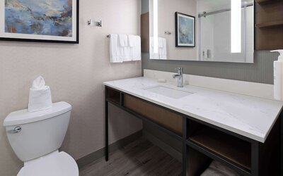 Hilton Garden Inn Winston-Salem/Hanes Mall