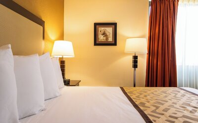 Village Inn Clemmons/Winston Salem, Trademark by Wyndham