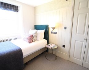 Room Mate Lime Tree