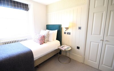 Room Mate Lime Tree