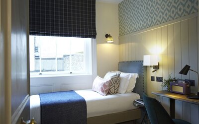 Room Mate Lime Tree