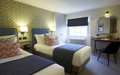 Room Mate Lime Tree