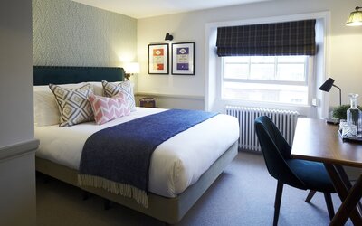 Room Mate Lime Tree