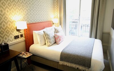 Room Mate Lime Tree