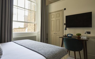Room Mate Lime Tree