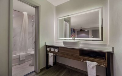 Private bathroom with shower at Signature Inn Houston Galleria.