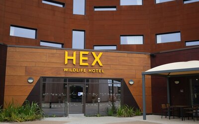 Hex Wildlife Hotel