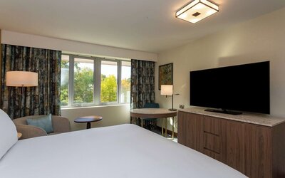 Room, 1 Queen Bed with Sofa bed, Non Smoking