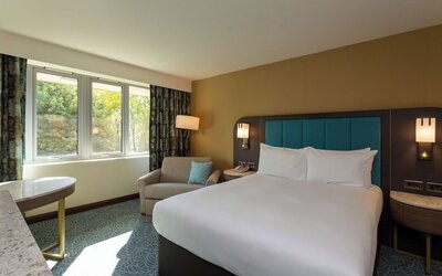 Room, 1 King Bed, Non Smoking