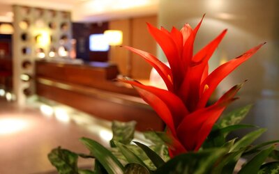 Holiday Inn Express Southampton M27 Jct7 by IHG