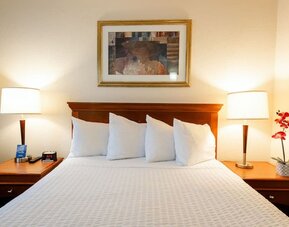 Queen bed at Travelodge Ottawa East.