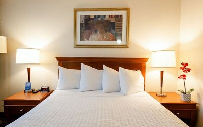 Queen bed at Travelodge Ottawa East.