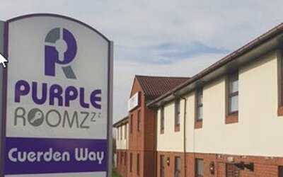 Purple Roomz