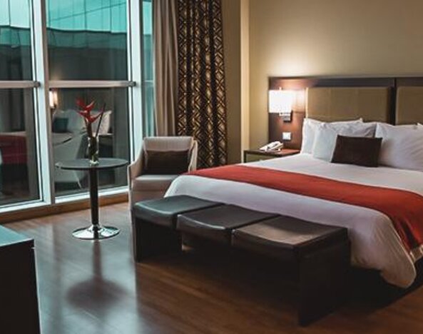 Hotel Ciudad de David