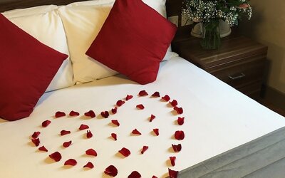 The Mitre Hotel Brighton