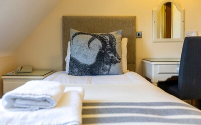 Swan Revived Hotel