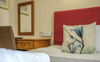 Swan Revived Hotel