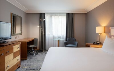 Room, 1 Queen Bed