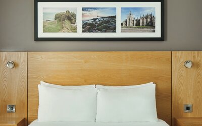Executive Room, 1 King Bed