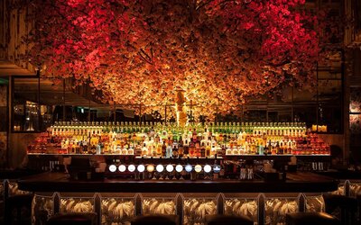 House Hotel Belfast