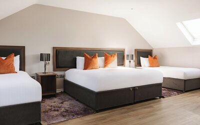 The Malone Hotel