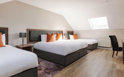 The Malone Hotel
