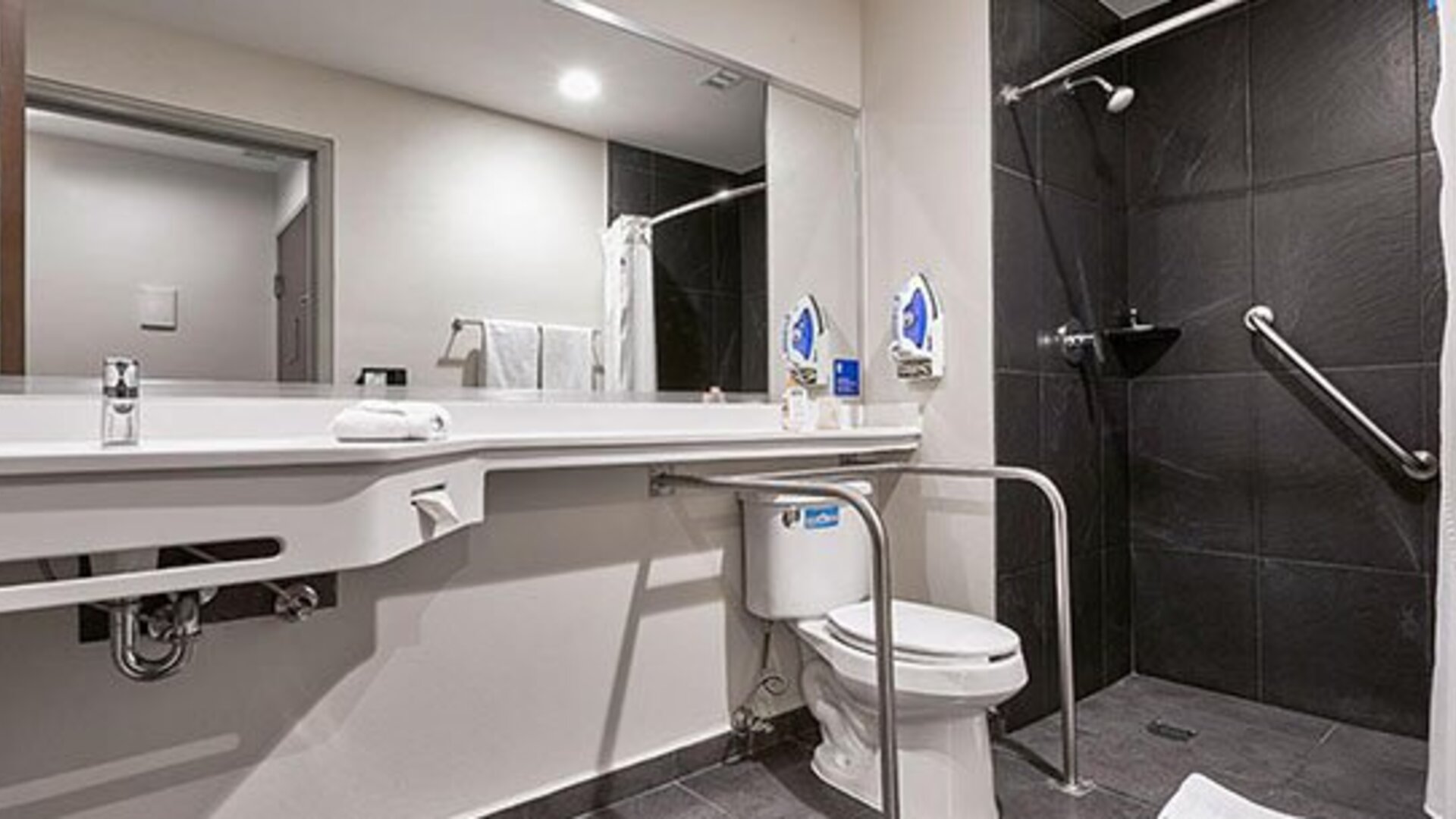 Accessible guest bathroom at City Express by Marriott Aeropuerto Ciudad de México featuring roll-in shower access, support rails, and modern fixtures designed for comfort and convenience.